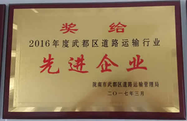 2016年度武都區(qū)道路運輸行業(yè)先進(jìn)企業(yè)