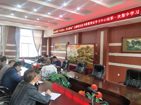 隴運集團(tuán)公司召開“不忘初心、牢記使命”主題教育讀書班暨理論學(xué)習(xí)中心組第一次集中學(xué)習(xí)會議